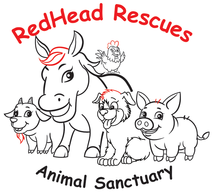 Redhead Rescues Animal Sanctuary